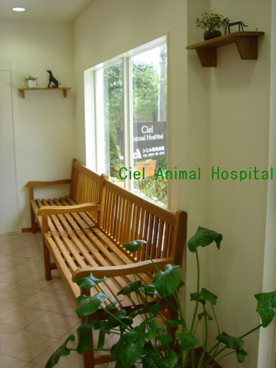 シエル動物病院