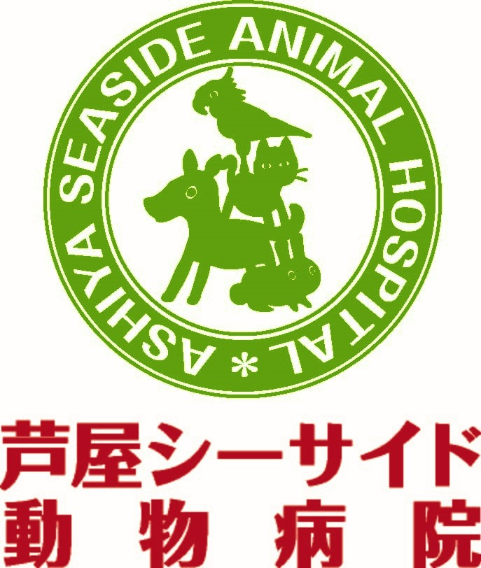 芦屋シーサイド動物病院
