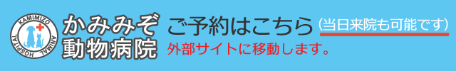 かみみぞ動物病院