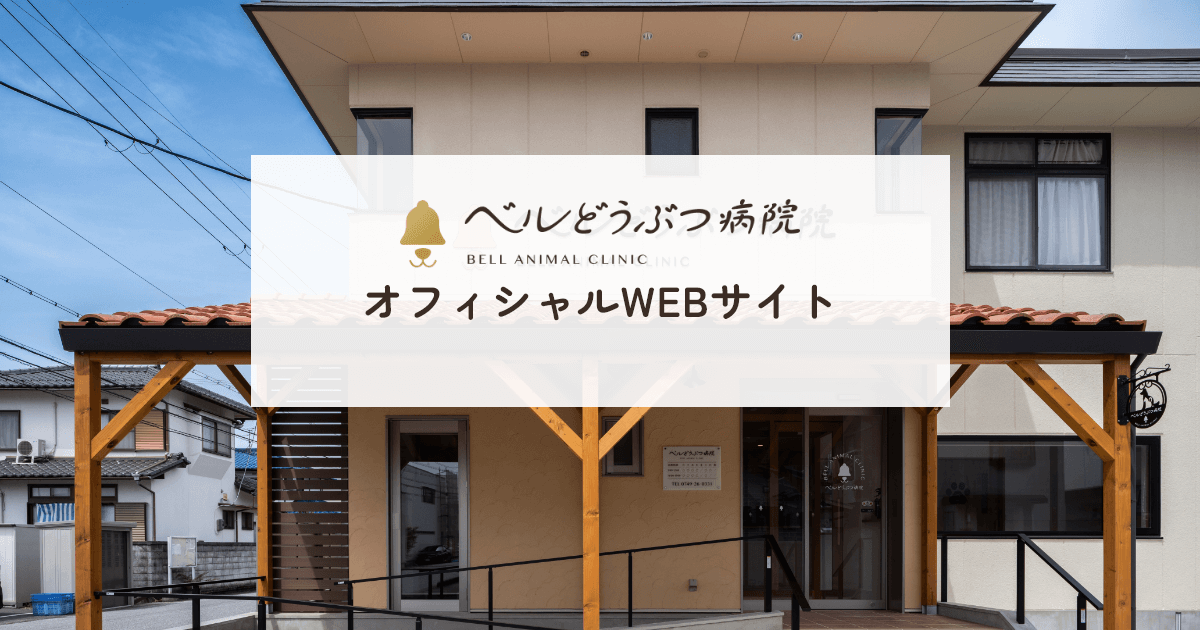 ベルどうぶつ病院