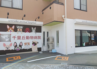 千里丘動物病院