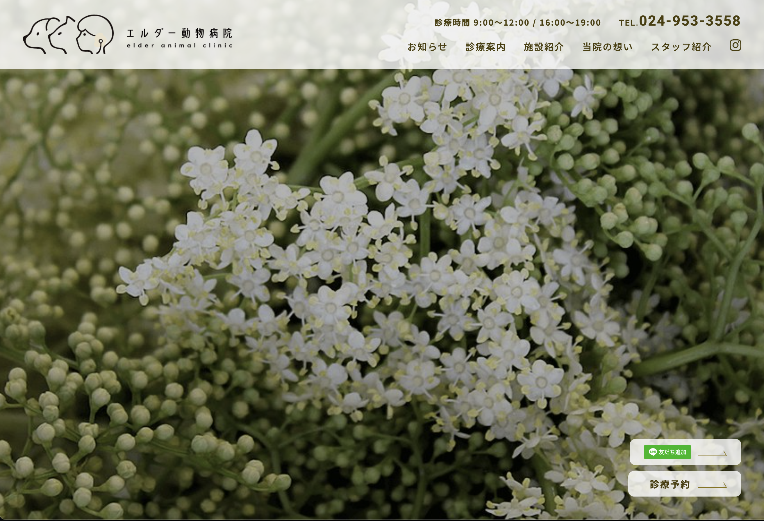 エルダー動物病院