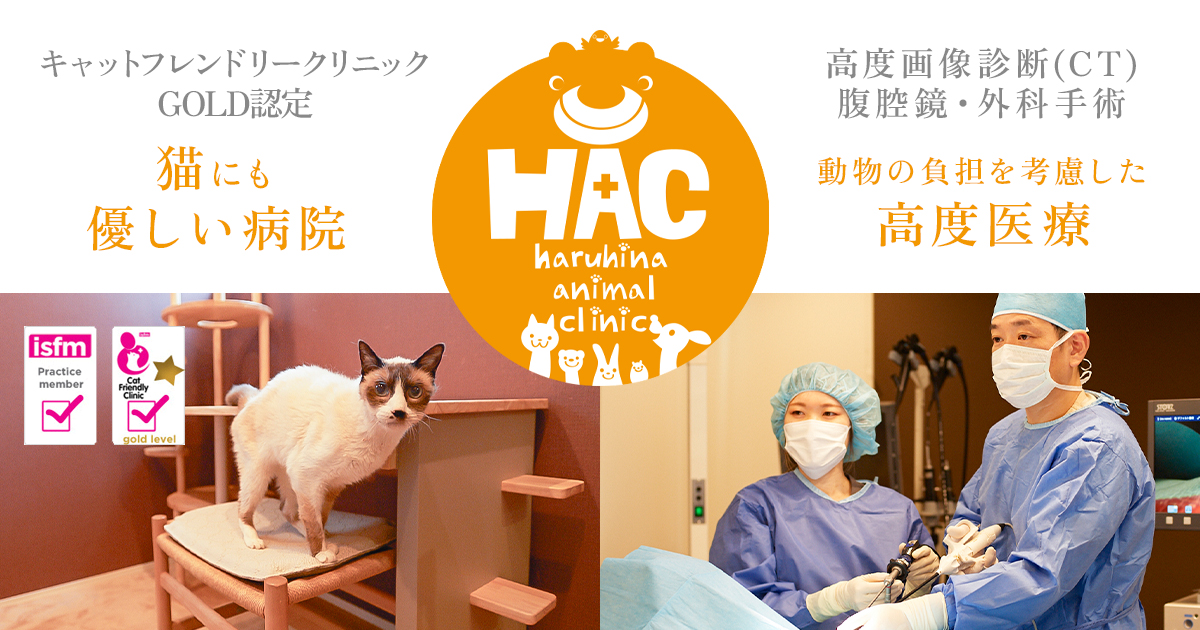 はるひな動物病院
