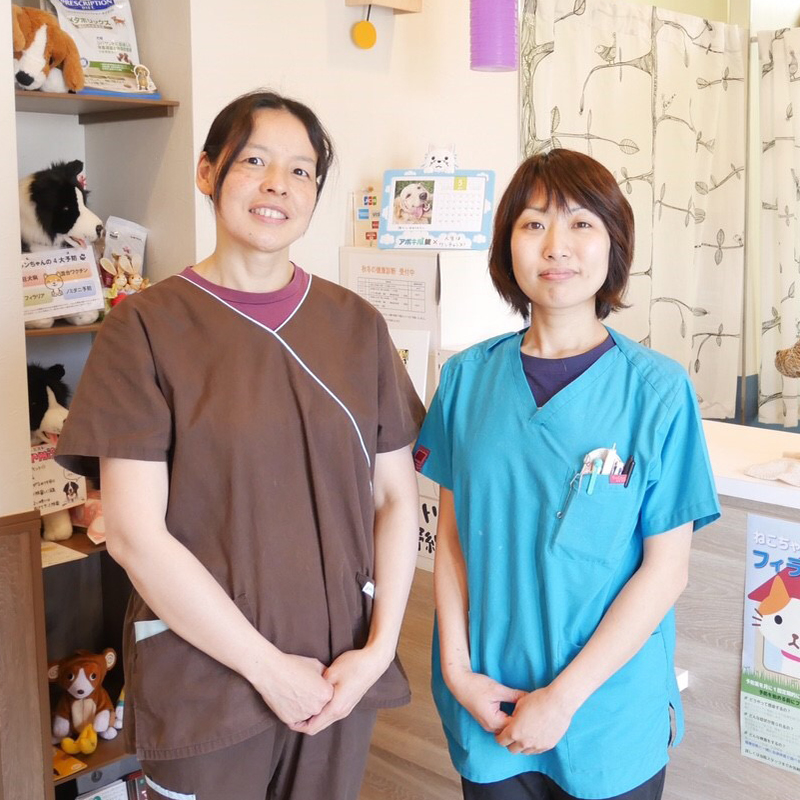 あじさい動物病院