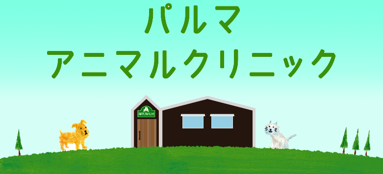 パルマ動物病院