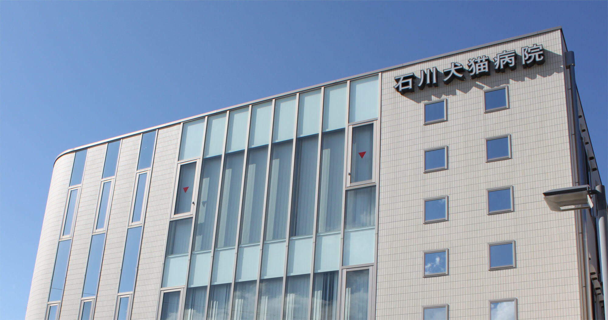 石川犬猫病院