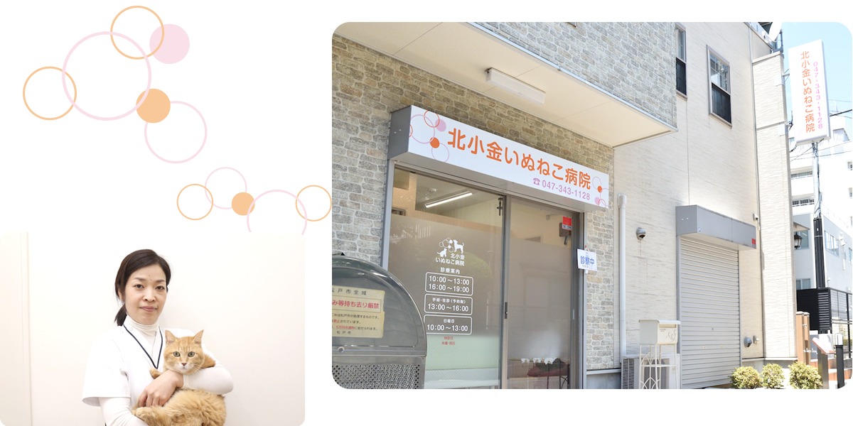 北小金いぬねこ病院