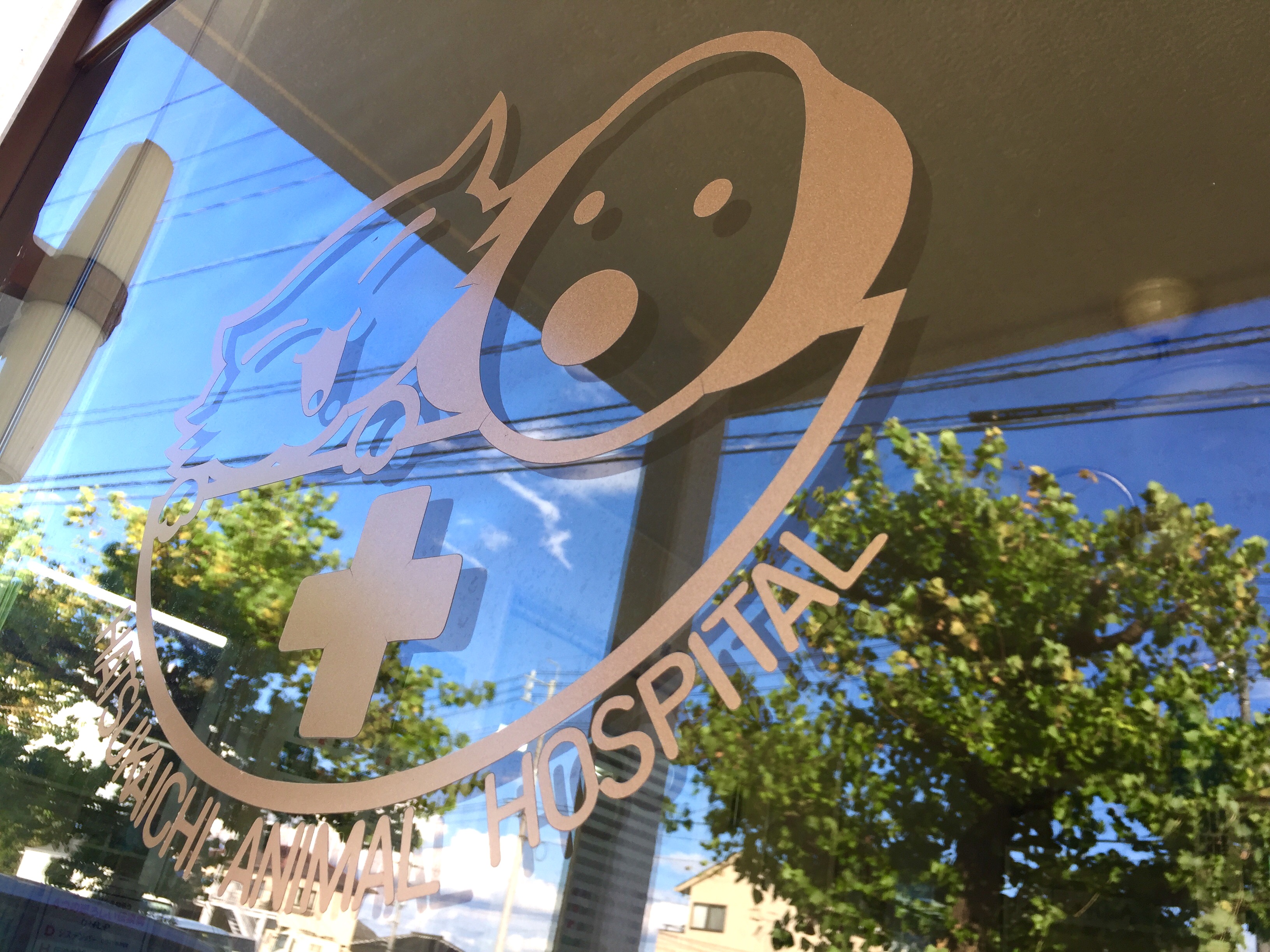 廿日市動物病院