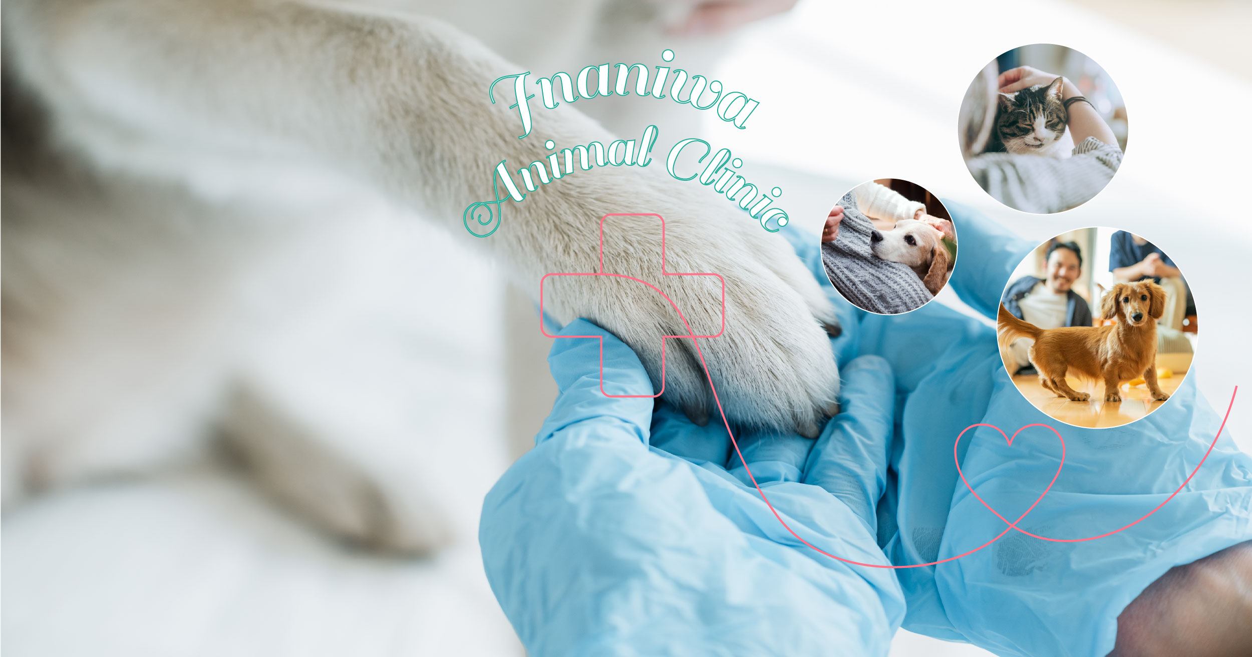 いなにわ動物クリニック