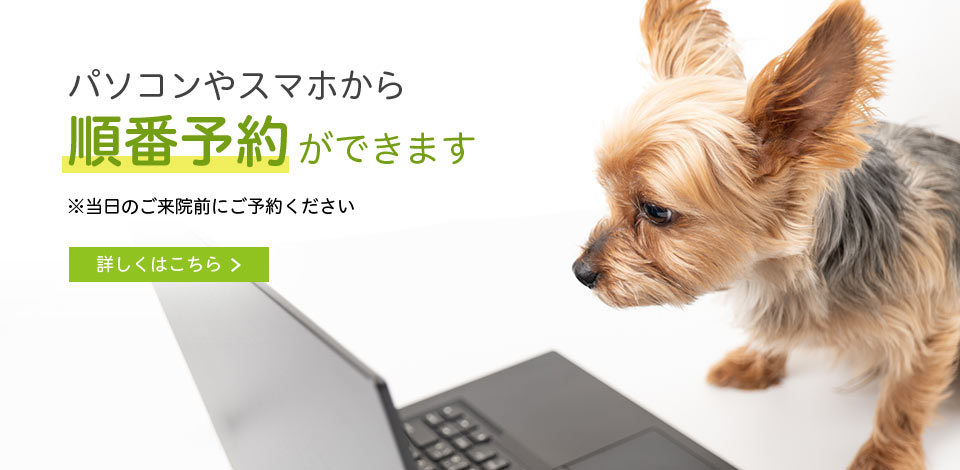 御代田町あおば動物病院