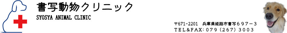 書写動物クリニック