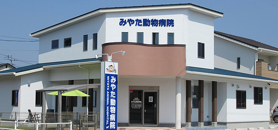 みやた動物病院
