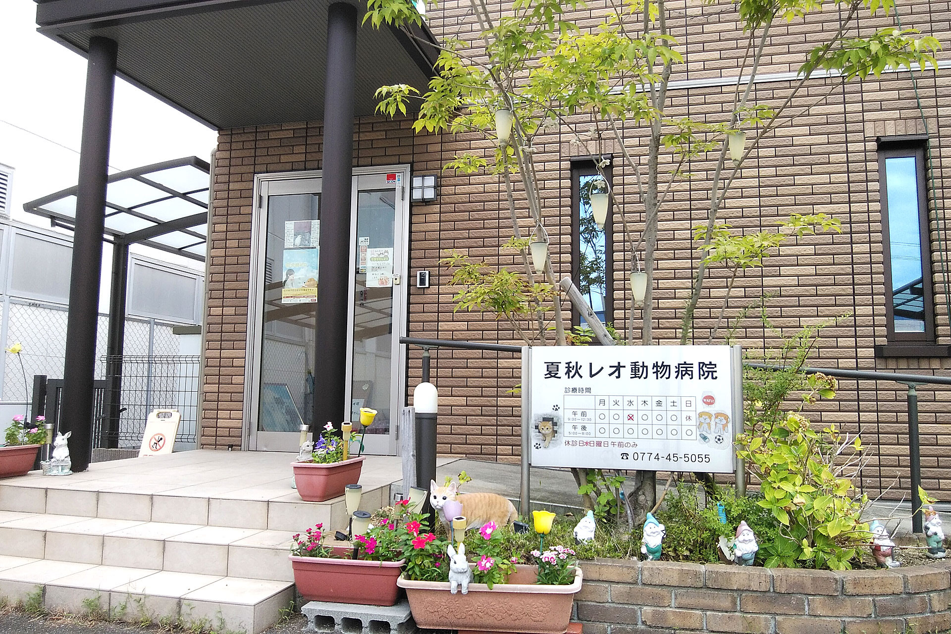 夏秋レオ動物病院