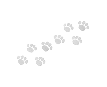 プードルプードル　二子玉川店