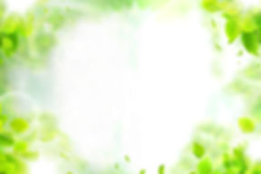 西焼津ピッピ動物病院