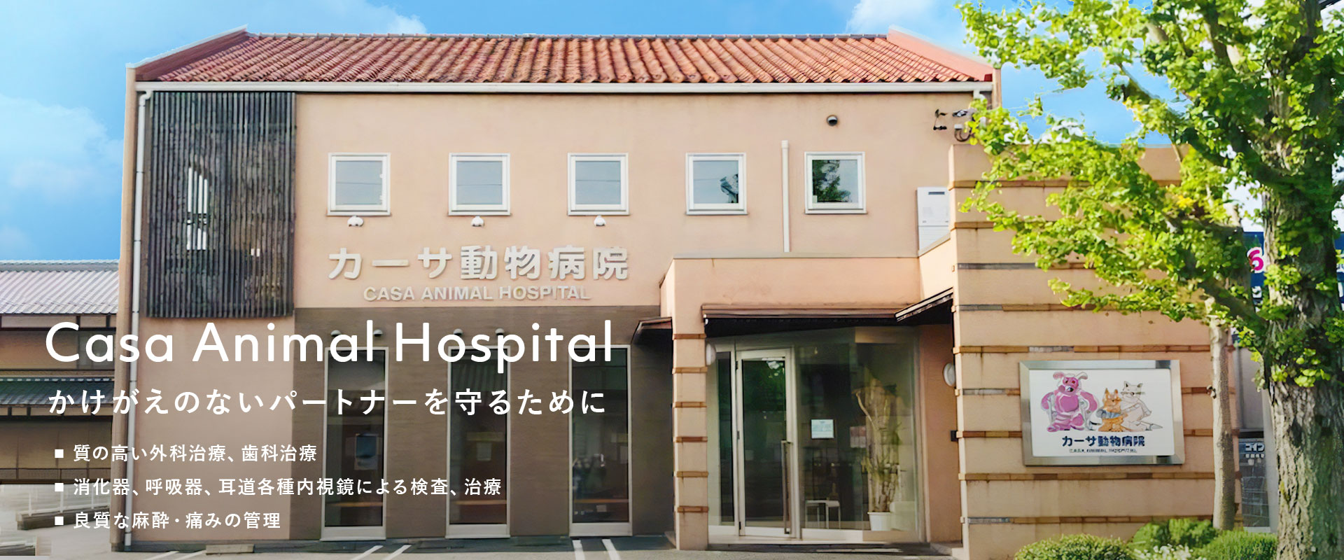カーサ動物病院