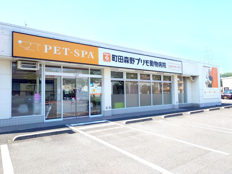 町田森野プリモ動物病院
