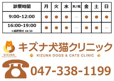 キズナ犬猫クリニック