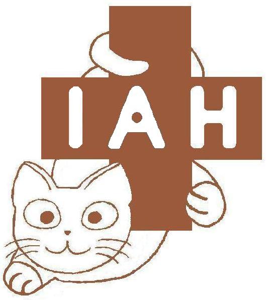 いしかわ動物病院