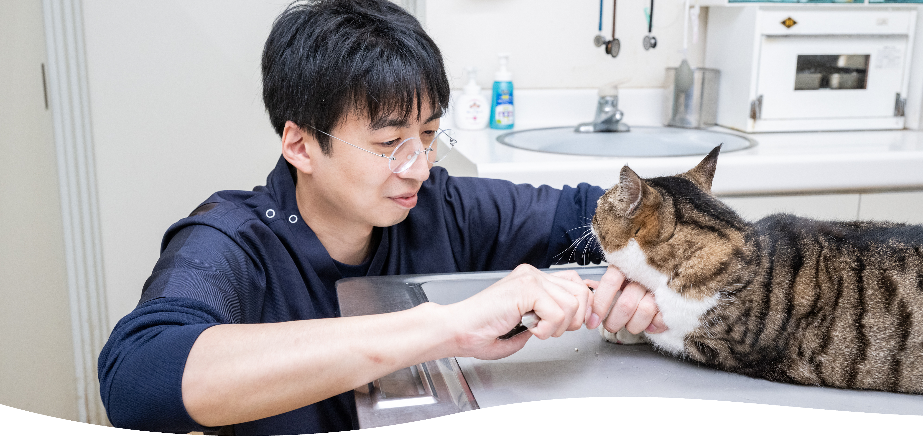 寺谷内獣医科病院