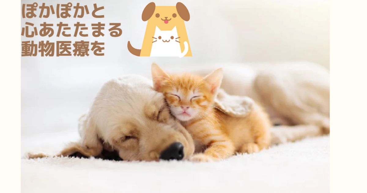 ぽかぽか動物病院