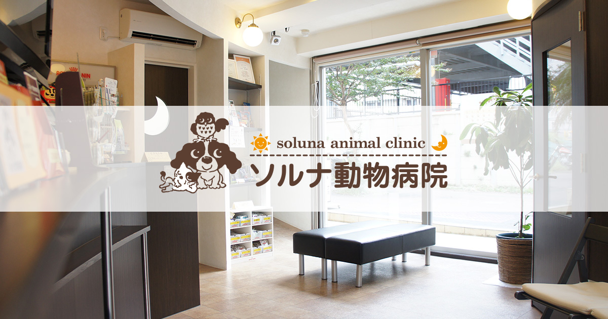 ソルナ動物病院