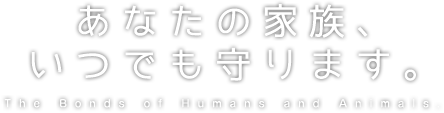アイリス動物病院