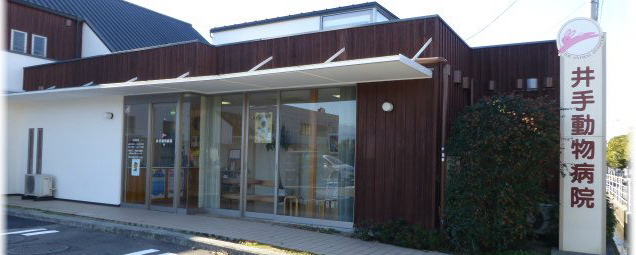 井手動物病院