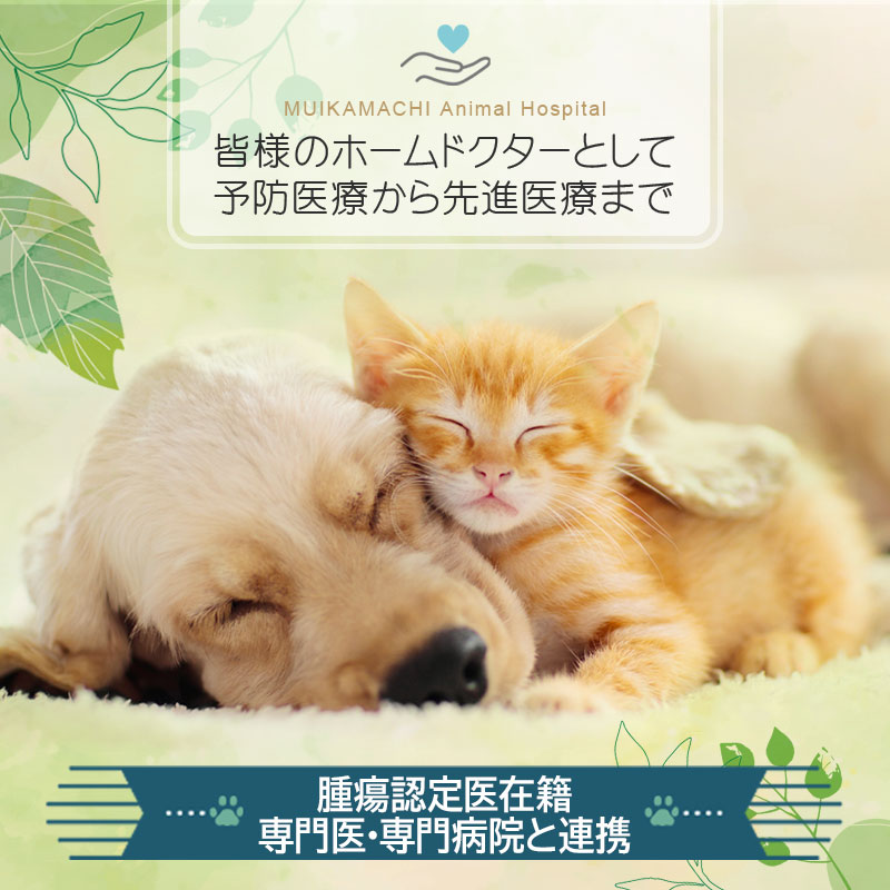 六日町動物病院