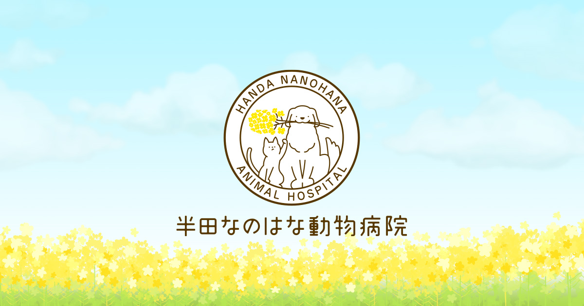 半田なのはな動物病院