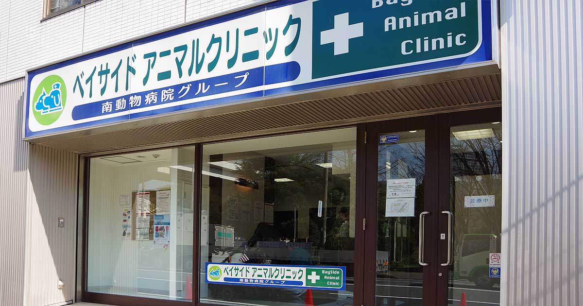 ベイサイドアニマルクリニック