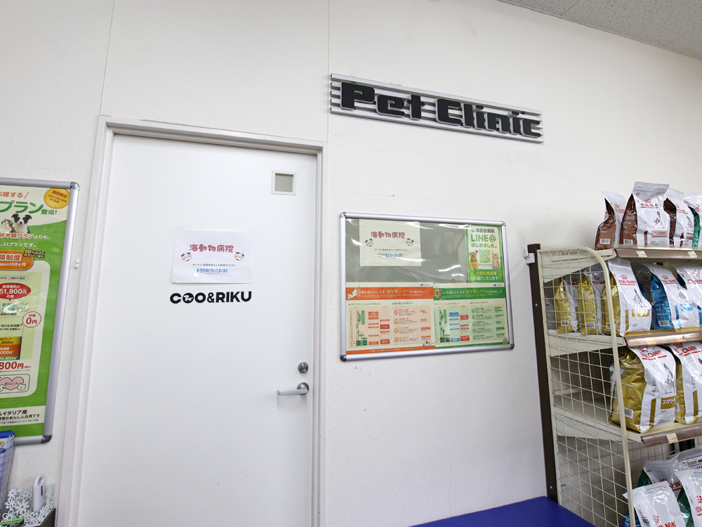 海動物病院　フォレストシティ春日往診所