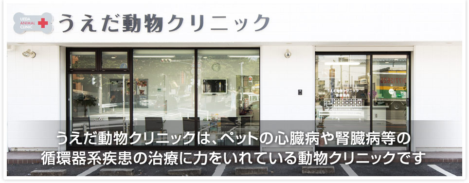 うえだ動物クリニック