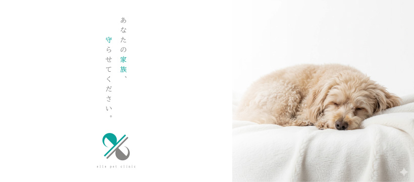 エルペットクリニック