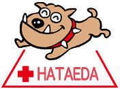 はたえだ動物病院