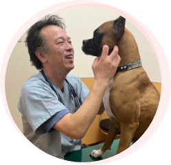 まみや動物病院