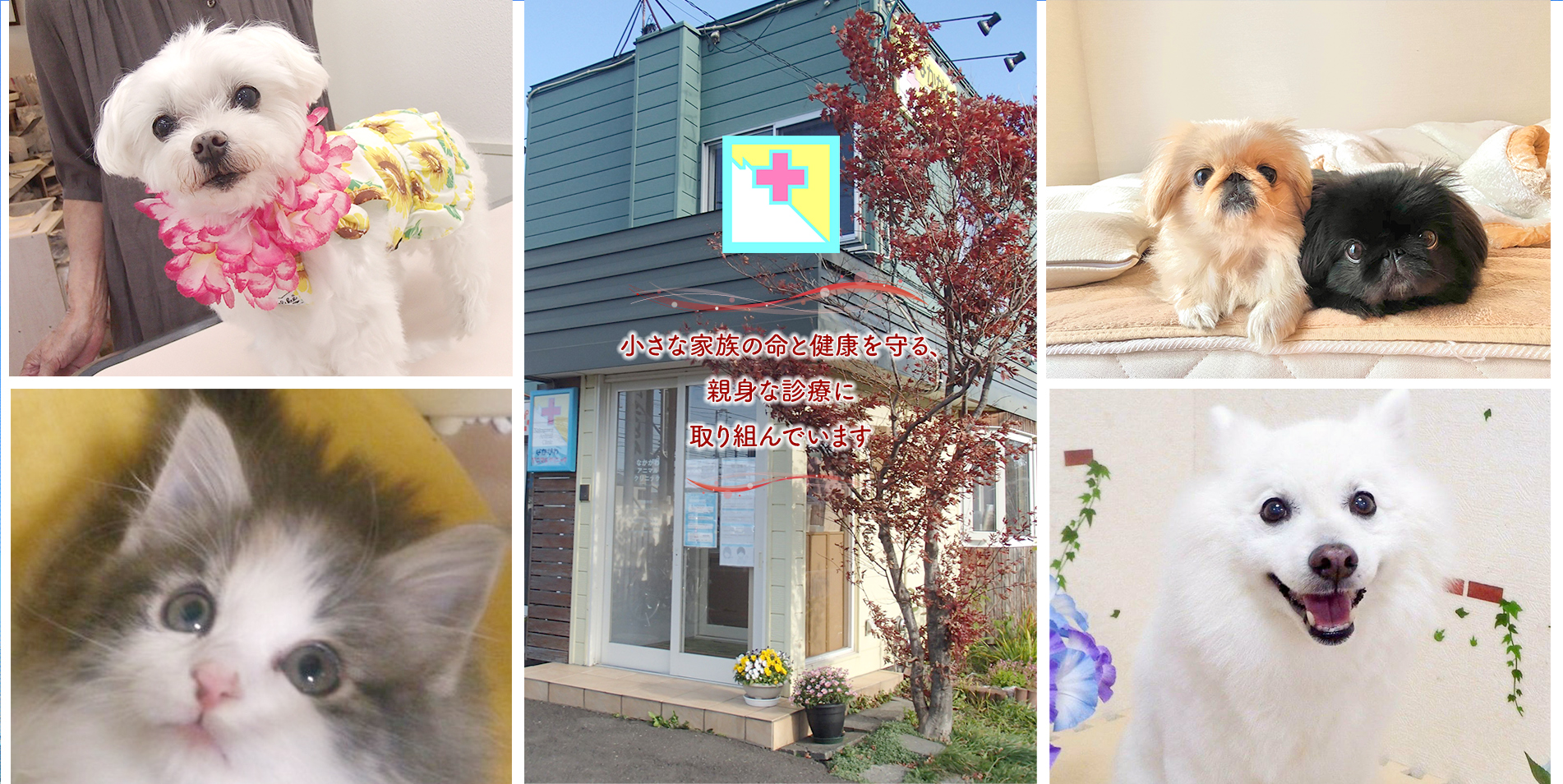 なかがわアニマルクリニック