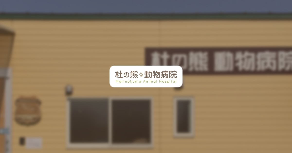 杜の熊動物病院