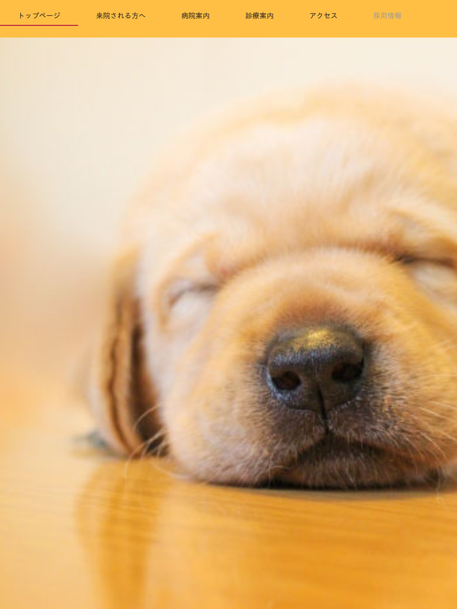 アンディー動物病院