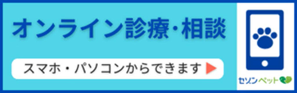 わかば犬猫病院横浜西口駅前
