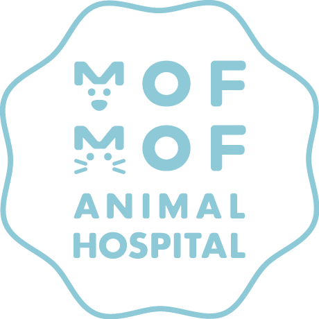 もふもふ動物病院