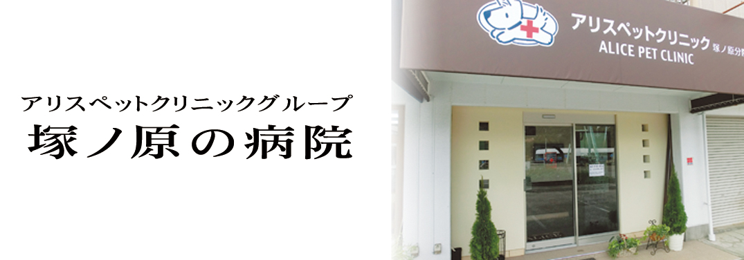 アリスペットクリニックグループ 高知動物医療センター