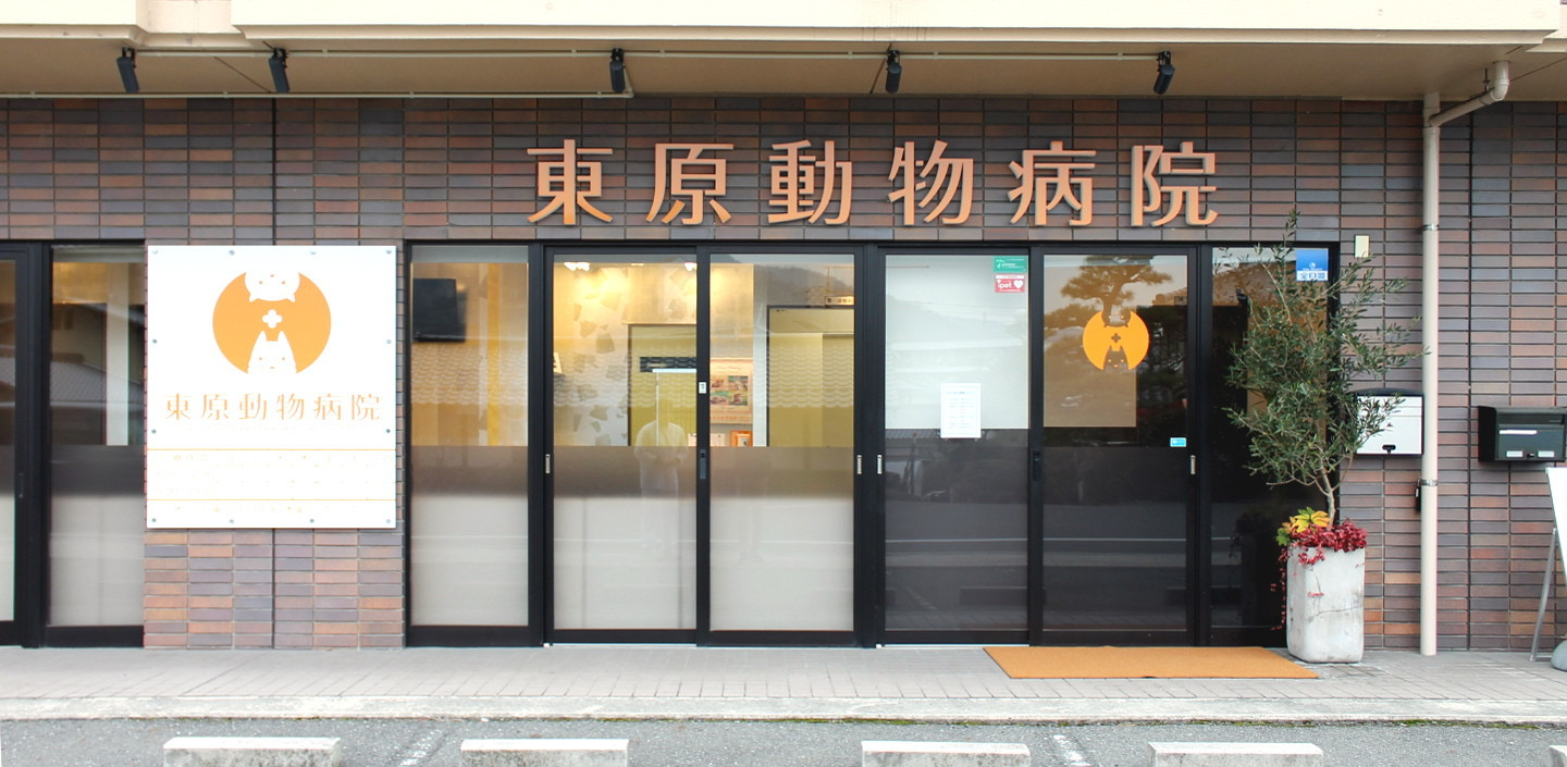 東原動物病院