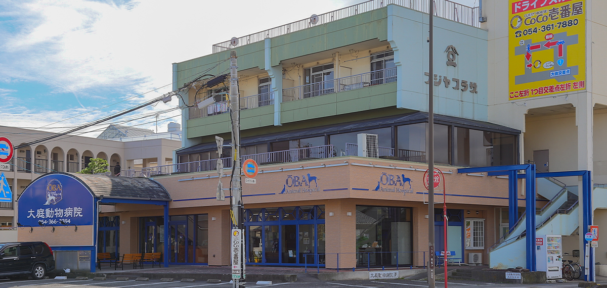 大庭動物病院清水病院