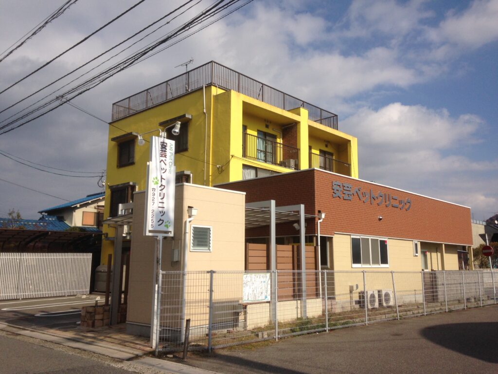 安芸リトルアニマル診察室