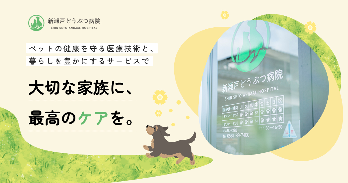 新瀬戸どうぶつ病院