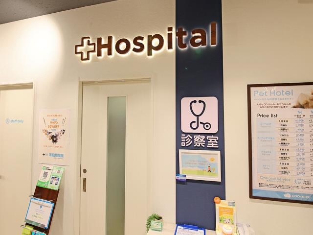 海動物病院　水戸往診所