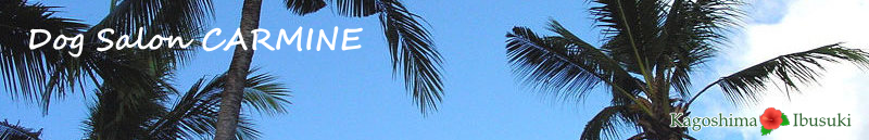 ドッグサロン カーマイン
