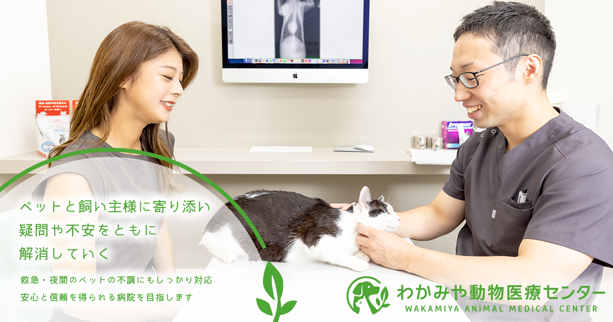 わかみや動物医療センター