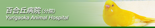 本間動物病院百合ケ丘分院
